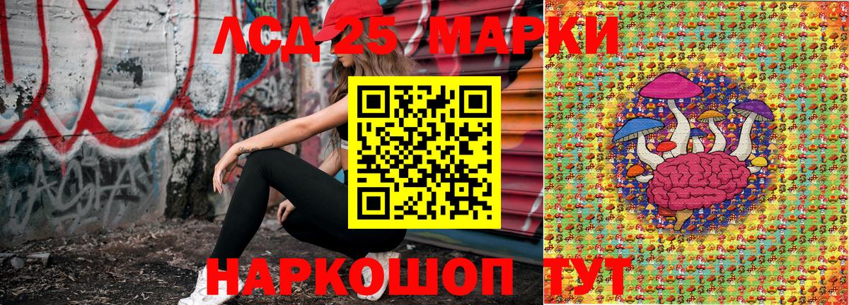 Наркотические марки  Наркотические марки 1,5мг  Вход с VPN  Наркотические марки 1,5мг  Елизово 