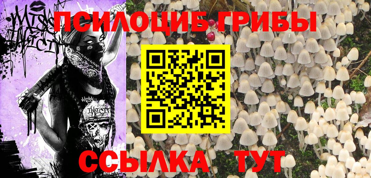 Псилоцибиновые грибы мицелий  Галлюциногенные грибы Cubensis  Вход с VPN  Елизово 