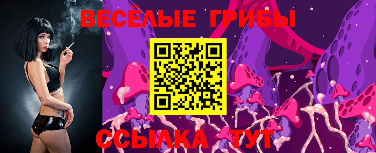 Псилоцибиновые грибы Psilocybe Елизово